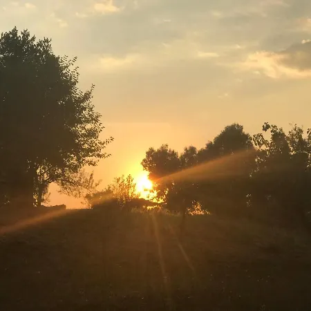 La villetta dei sogni nel Parco-2